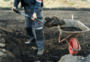 Distal Biceps Rupture – Orthopaedic Care Specialists